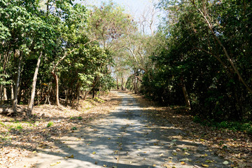 Concrete road paths on hillsides at Wat Khao Phrabat, Ban Laeng, Mueang Rayong District, Rayong Thailand.