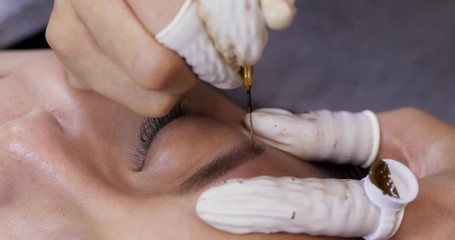 Wall Mural - Cosmetologist making eyebrow permanent make up on woman eye