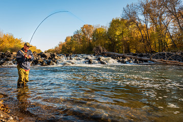 Wall Mural - Fly fisherman catching a fish in the mountain river.