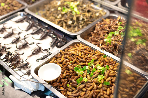 Fotomural Worms, larvae, scorpions and other local asian snacks on the street market