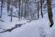 © Martin - Winter landscape in the valley of mountains with a beautiful stream and snow around, Slovakia Mala Fatra, Janosik Holes