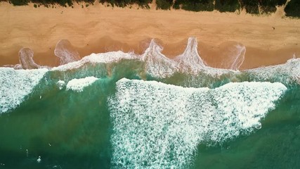 Wall Mural - Australian beaches aerial view