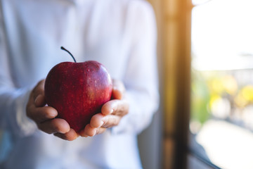 Wall Mural - Closeup image of a woman holding a red apple