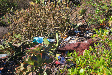 Waste dumped among beautiful succulent plants on Tenerife island, where the trade winds may carry the light plastic to the sea