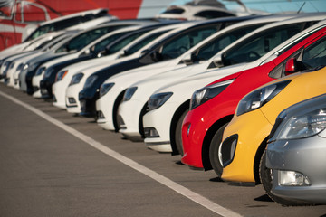 Wall Mural - Cars in a row. Used car sales