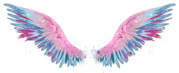 beautiful magic watercolor blue pink wings
