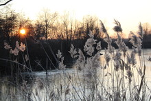 Sonnenuntergang Am Teich