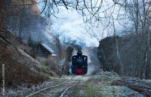 Cuadros en Lienzo Steam train puffing along the tracks