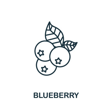 blueberry icon from fruits collection. simple line element blueberry symbol for templates, web desig