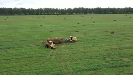 Wall Mural - Aerial video. Rolling haystacks in countryside on the field on a cloudy day. Tractor loading hay bales on truck trailer during agricultural works. 