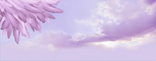 Angel Feather Message Background Banner - A Pile Of Random Long Lilac Feathers In Left Corner Against A Lilac Blue Romantic Sky Background With Copy Space