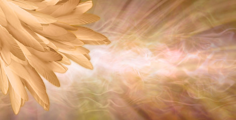 golden angel feather message banner background - a pile of random long golden feathers in left corne
