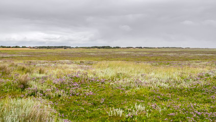 Poster - Spiekeroog in East Frisia