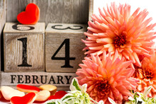 2014 Dahlia Calendar Free Stock Photo - Public Domain Pictures