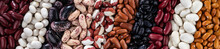 Panoramic Banner With Ten Different Varieties Of Dry Kidney Beans.