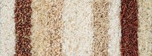 Panoramic Banner With Ten Different Varieties Of Rice. The Texture Of Grains Of Rice Of Different Colors.