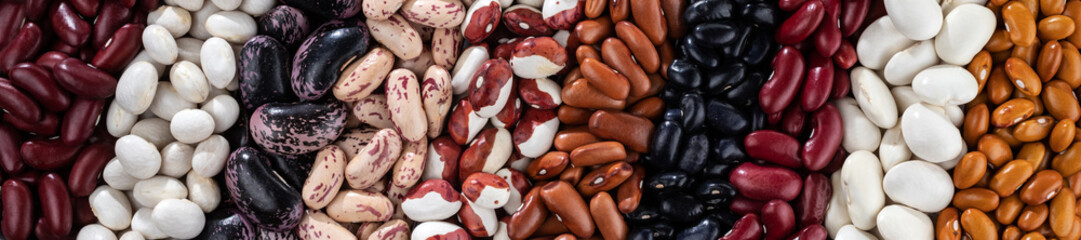 Panoramic banner with ten different varieties of dry kidney beans.