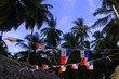 panamesische Flagge vor Palmen