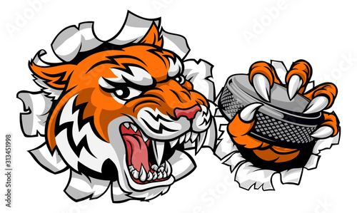 A tiger ice hockey player a...