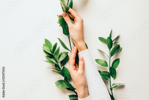 Fotografía The hands of a beautiful girl with a Nude manicure hold branches with green leaves on a white background