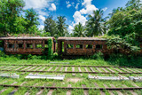 Fototapeta Nowy Jork - Jungle Railroad old train back to nature 