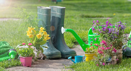 Wall Mural - Gardening tools and flowers in the garden