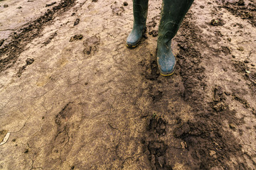 Dirty farmer's rubber boots on muddy country road