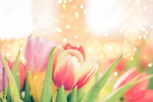  Fototapeta tulipany   rozowe-tulipany-na-zielonym-tle