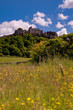 Stirling Castle with lush vegetation in the foreground. Scotland, UK, Europe