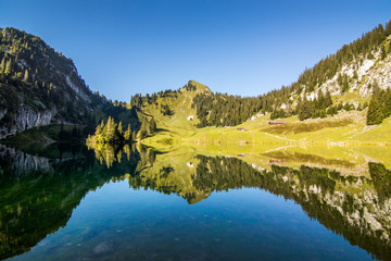 Wall Mural - clear lake in the alps with great reflection and blue sky in summer
