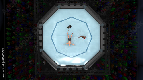 Fotografía Knocked out cage fighter laying down in octagon ring 3d render