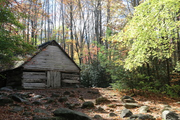 Wall Mural - an old rustic log cabin