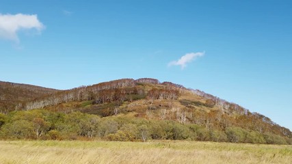 Poster - Petropavlovsk-Kamchatsky, Russia. Slow mo panoramas of a natural landscape with mountains and fields.