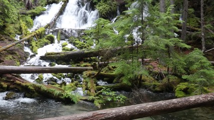 Canvas Print - Waterfall in Oregon