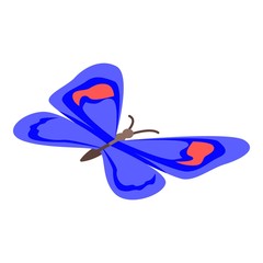Wall Mural - Blue flight butterfly icon. Isometric of blue flight butterfly vector icon for web design isolated on white background