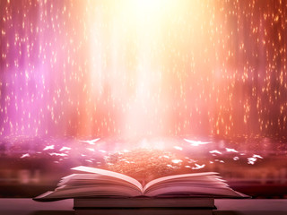 Poster - The concept of education by planting a tree of knowledge in the opening of an old book in the library and the magical magic of light that flies to the destination of success. Beautiful background