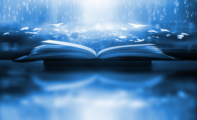 Poster - The concept of education by planting a tree of knowledge in the opening of an old book in the library and the magical magic of light that flies to the destination of success. Beautiful background