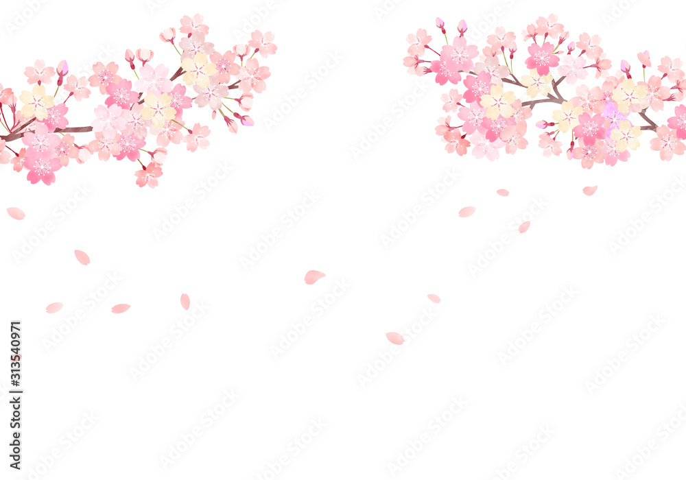 水彩 手描き風 桜 背景イラスト 04 Stock Vector | Adobe Stock