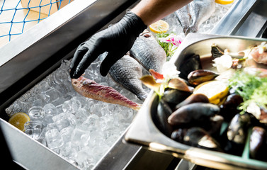 Wall Mural - Frozen see food on ice. Shrimps, fish and seashells. Limes and ice over metal background