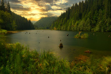 Red Lake - Lacul Rosu In Transylvania, Romania