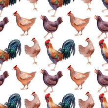 Watercolor Seamless Pattern With Poultry, Chickens, Roosters And Eggs