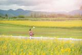 Fototapeta Kuchnia - asia woman with a hat in her hand walks in a field with field flowers and smiles sincerely, happy enjoying summer in yellow field at sunset. woman riding bicycle in flower field. concept of freedom.