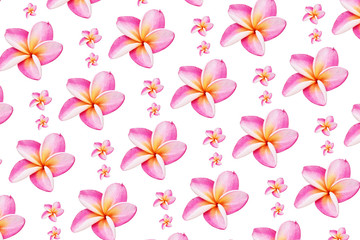 Wall Mural - White background flower image