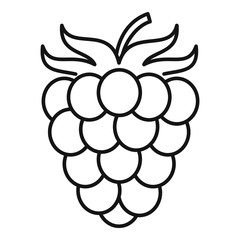 Poster - Raspberry icon. Outline raspberry vector icon for web design isolated on white background