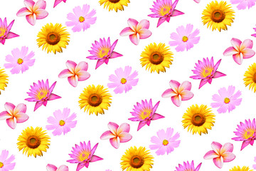Wall Mural - White background flower image