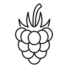 Poster - Natural raspberry icon. Outline natural raspberry vector icon for web design isolated on white background