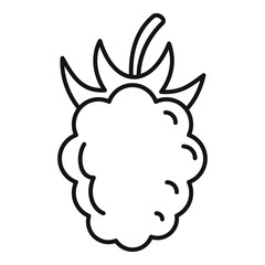 Poster - Fresh raspberry icon. Outline fresh raspberry vector icon for web design isolated on white background