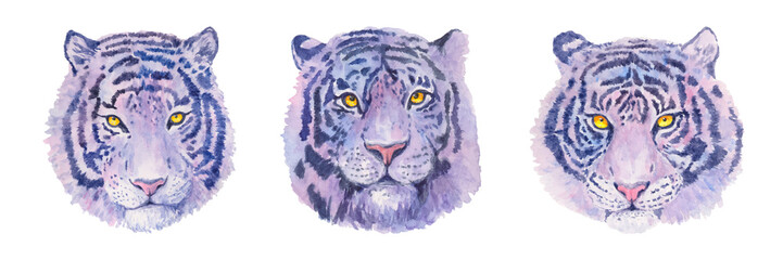 Aufkleber - Tiger. Watercolor animal illustration. Hand drawn big cat. Set of beautiful predators.