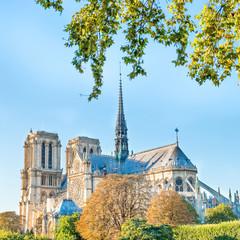 Wall Mural - Notre Dame de Paris - famous cathedral with blue sky