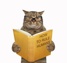 The Beige Cat In Glasses Is Reading A Book Called How To Rule Humans. White Background. Isolated.